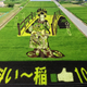Illustration for article titled Behold These Incredible Artworks Grown from a Rice Field in Japan